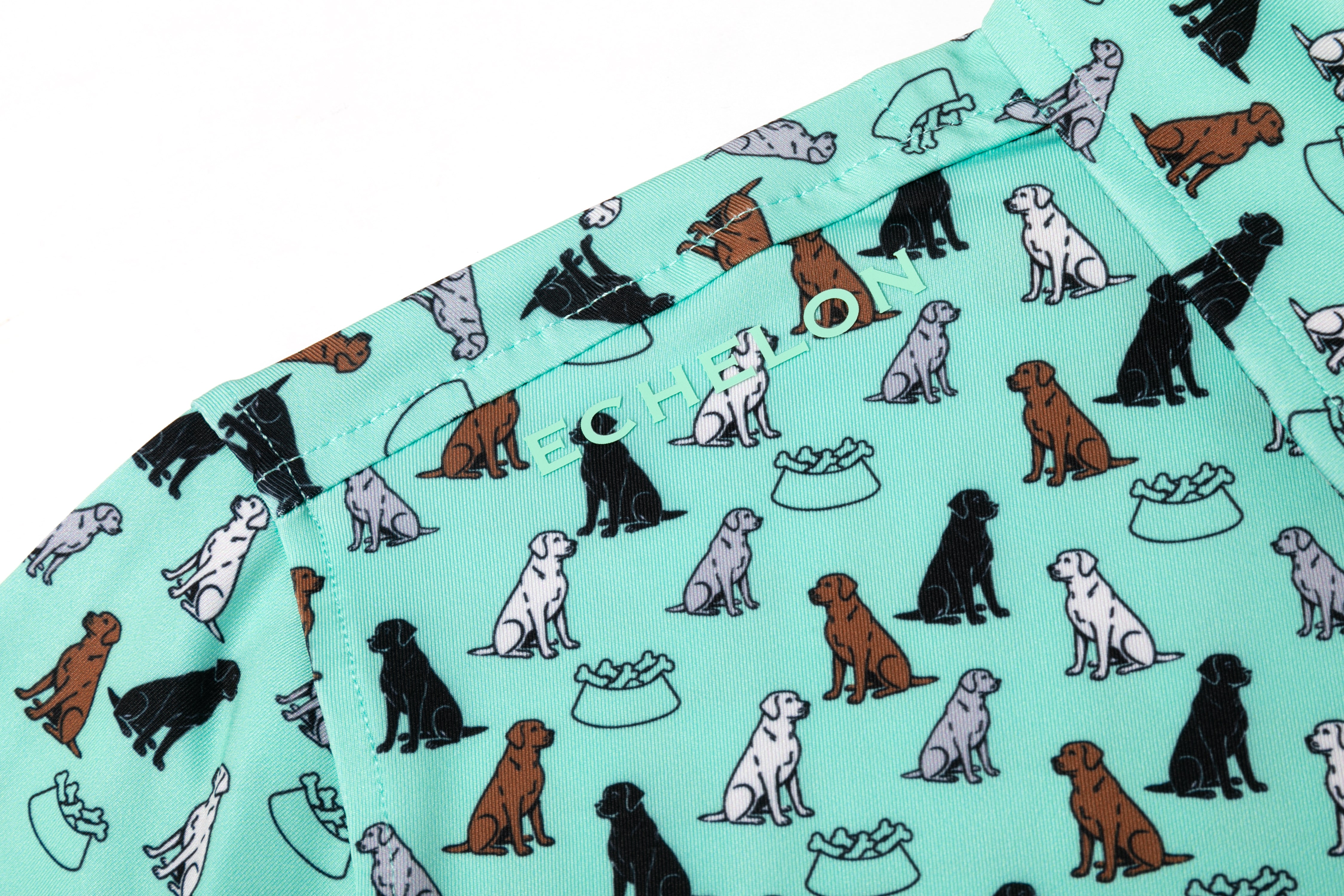 First In Show – Men’s Golf Polo with Labrador Retriever Print