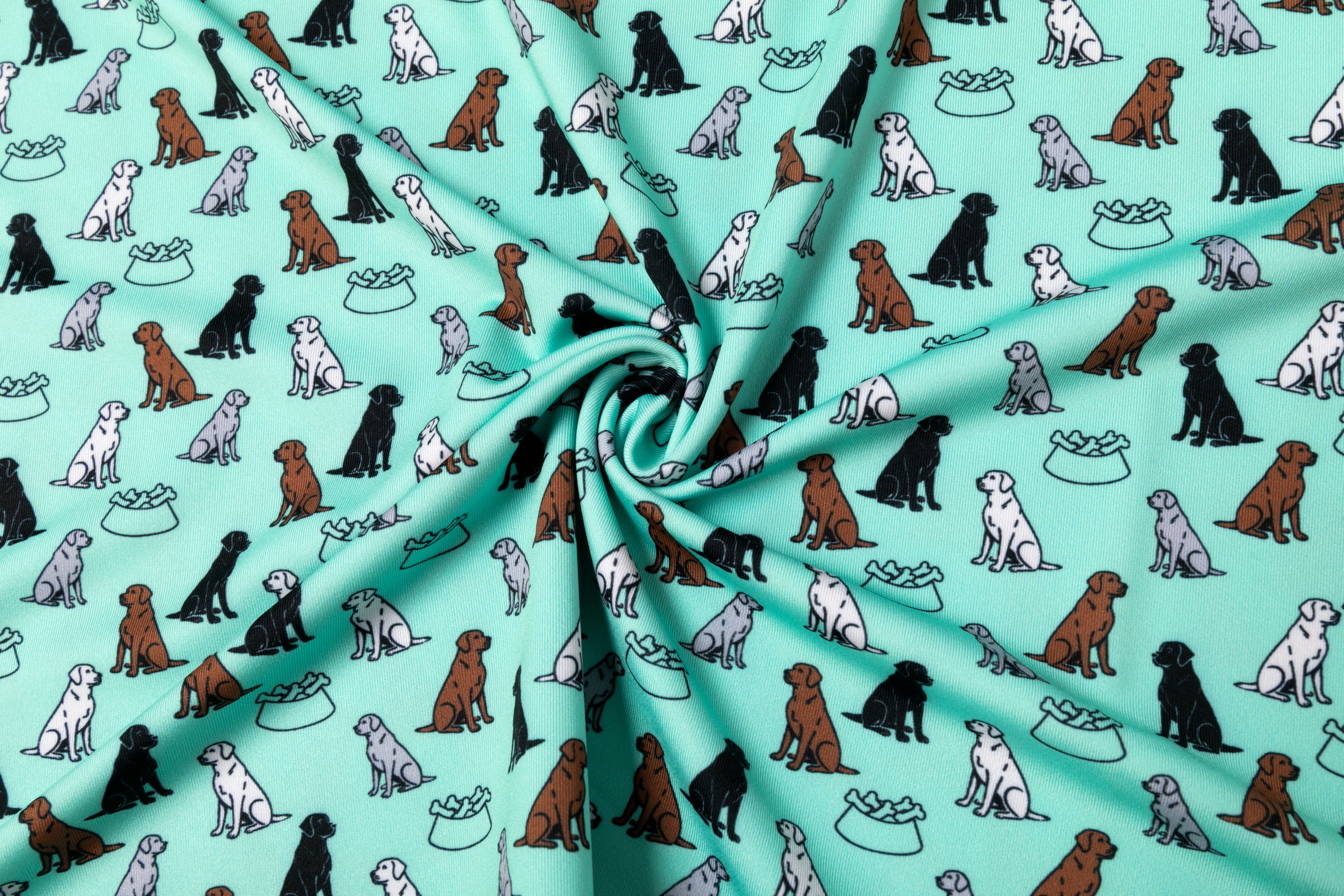 First In Show – Men’s Golf Polo with Labrador Retriever Print